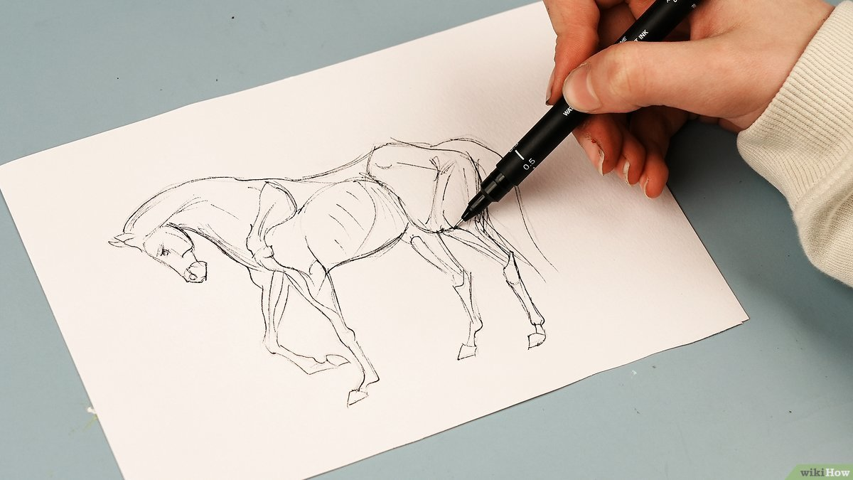 Unlock Your Creative Potential: Mastering the Art of Drawing